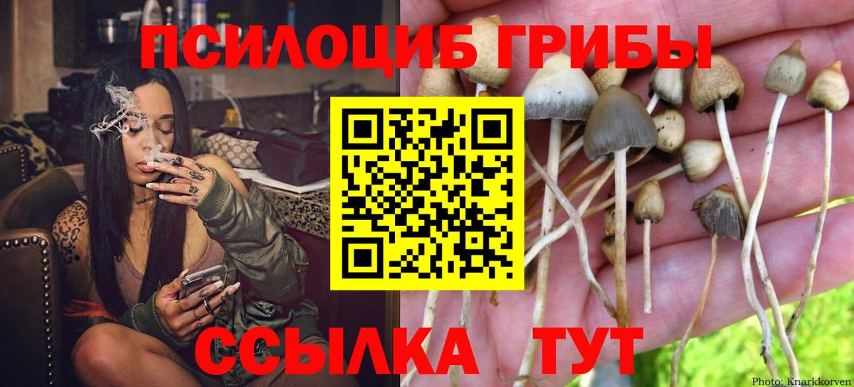 дарнет шоп  Вход с VPN  Галлюциногенные грибы мицелий  Комсомольск-на-Амуре  Псилоцибиновые грибы GOLDEN TEACHER 